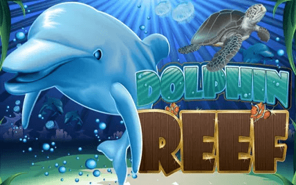 Dolphin Reef